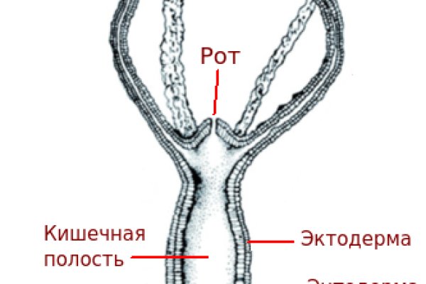 Кракен рабочая ссылка тор